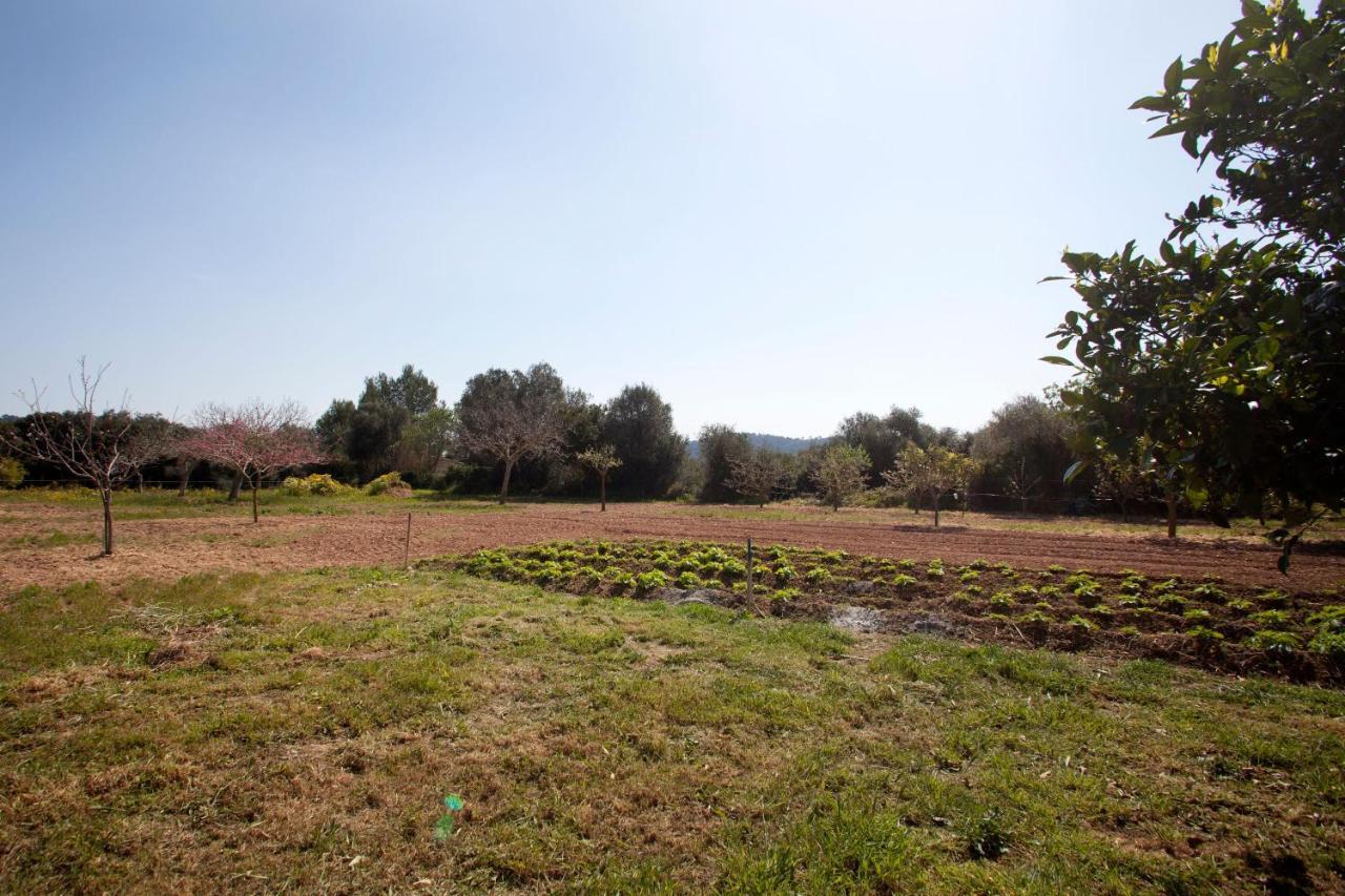 Finca Son Montserrat Villa Llucmajor  Exterior photo